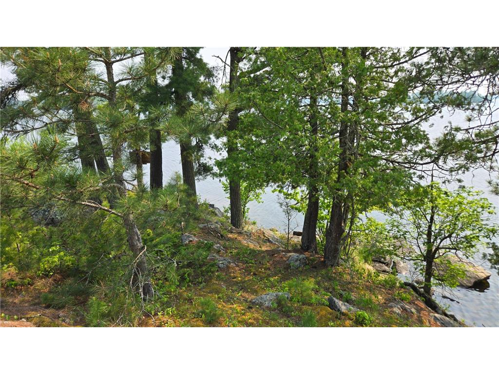 TBD 11.85 Bessette Road Orr MN 55771 - Pelican 6731377 image28