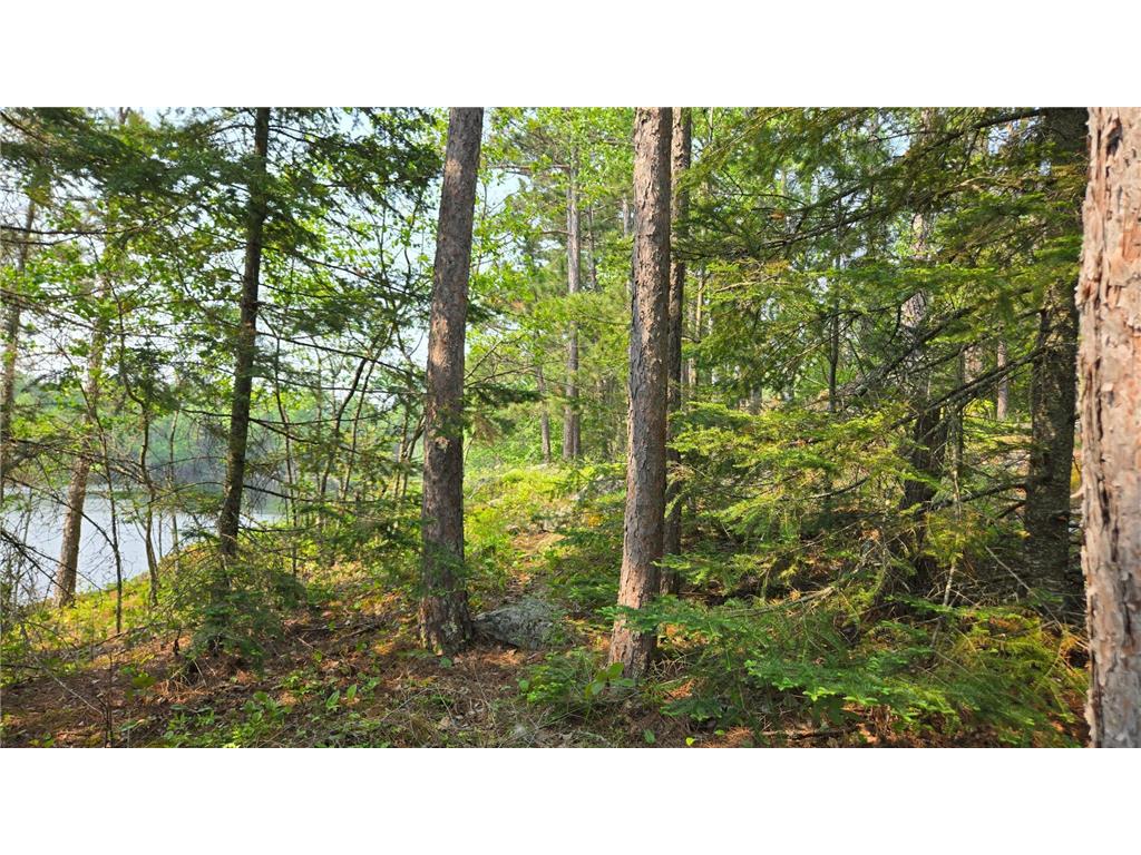 TBD 11.85 Bessette Road Orr MN 55771 - Pelican 6731377 image32