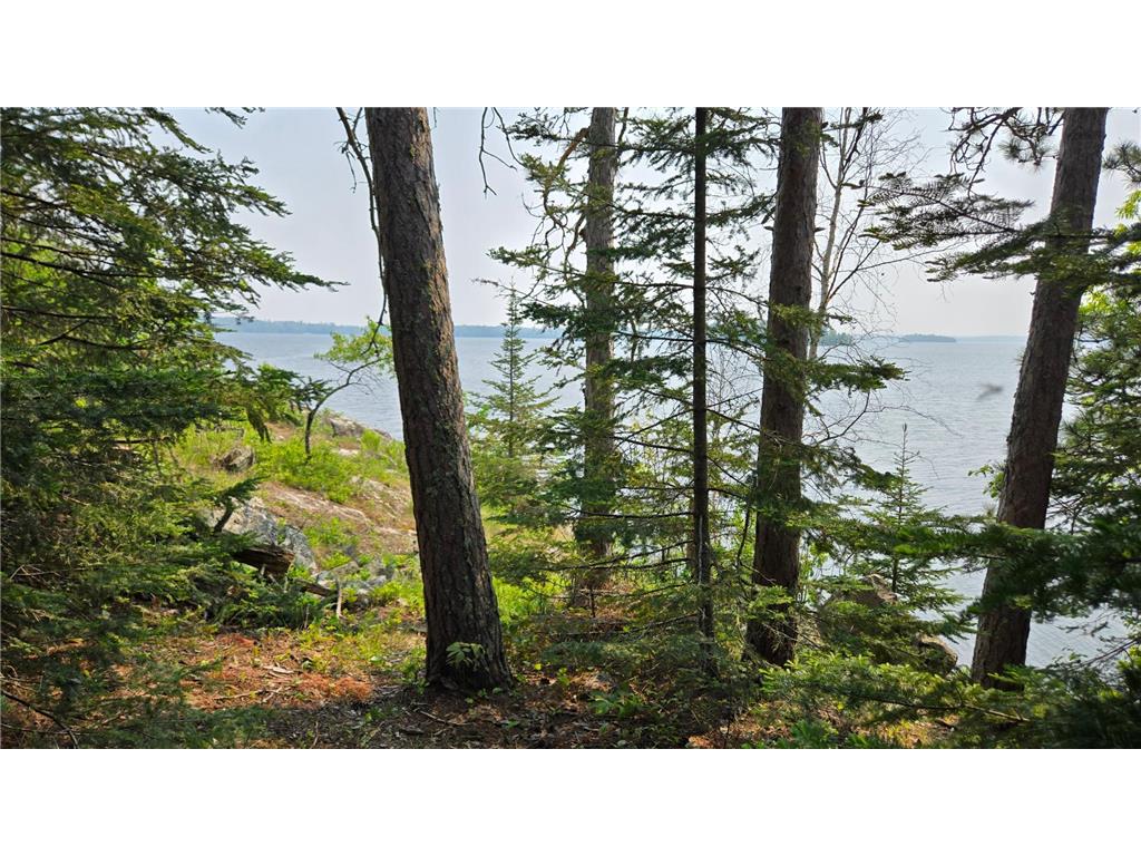 TBD 11.85 Bessette Road Orr MN 55771 - Pelican 6731377 image35