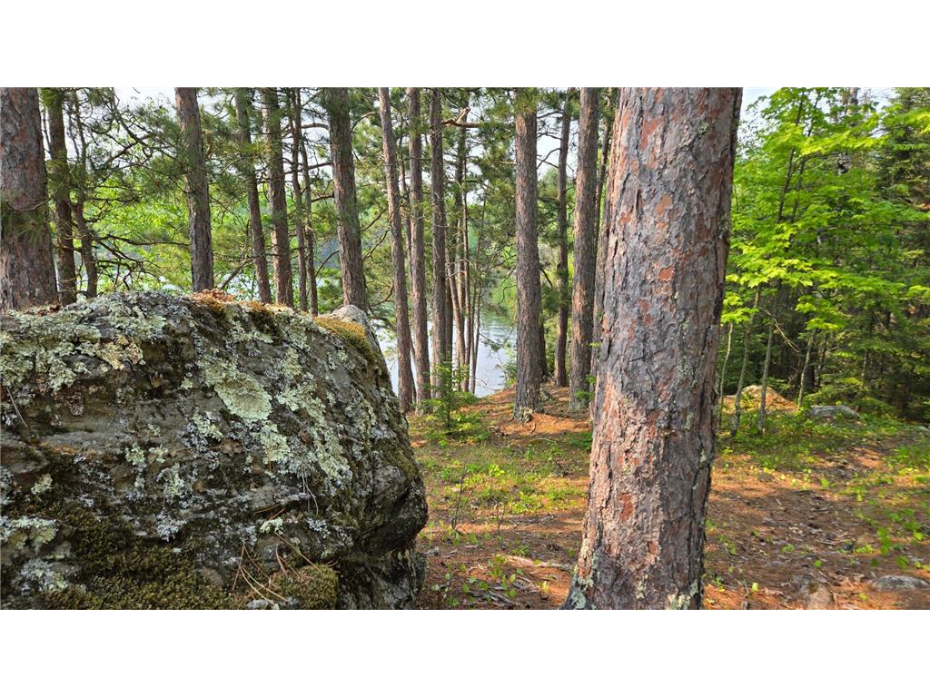 TBD 11.85 Bessette Road Orr MN 55771 - Pelican 6731377 image37