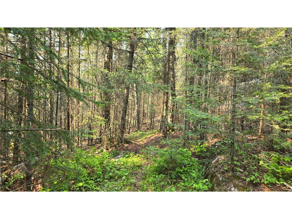 TBD 11.85 Bessette Road Orr MN 55771 - Pelican 6731377 image38