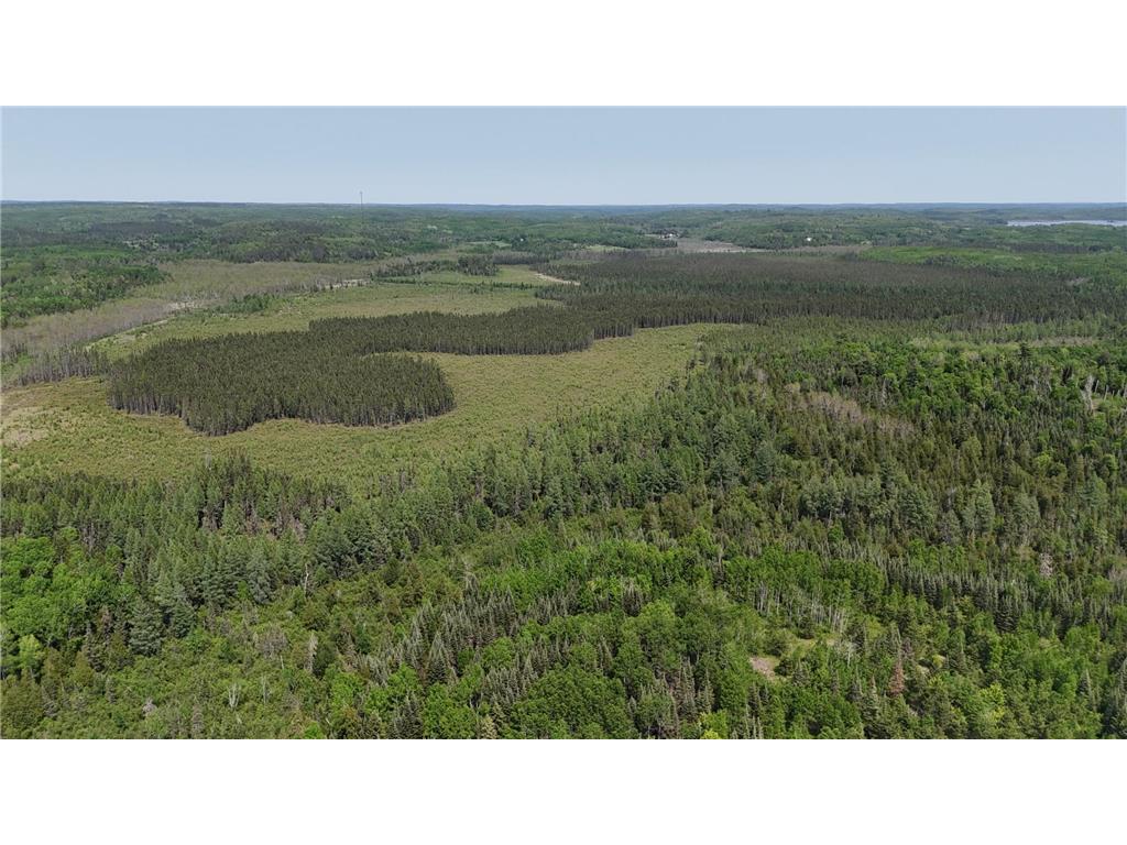 TBD 11.85 Bessette Road Orr MN 55771 - Pelican 6731377 image43