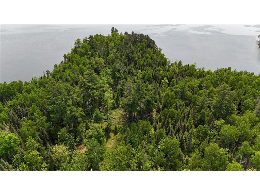 TBD 11.85 Bessette Road Orr MN 55771 - Pelican 6731377 image6