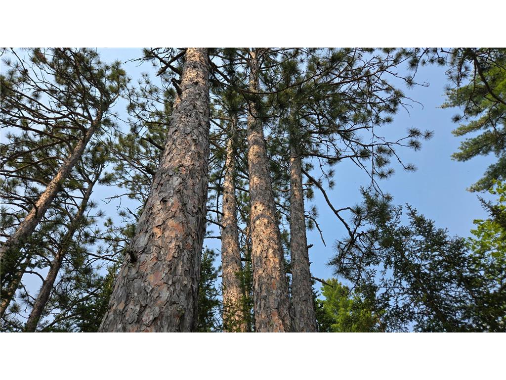 TBD 11.85 Bessette Road Orr MN 55771 - Pelican 6731377 image8