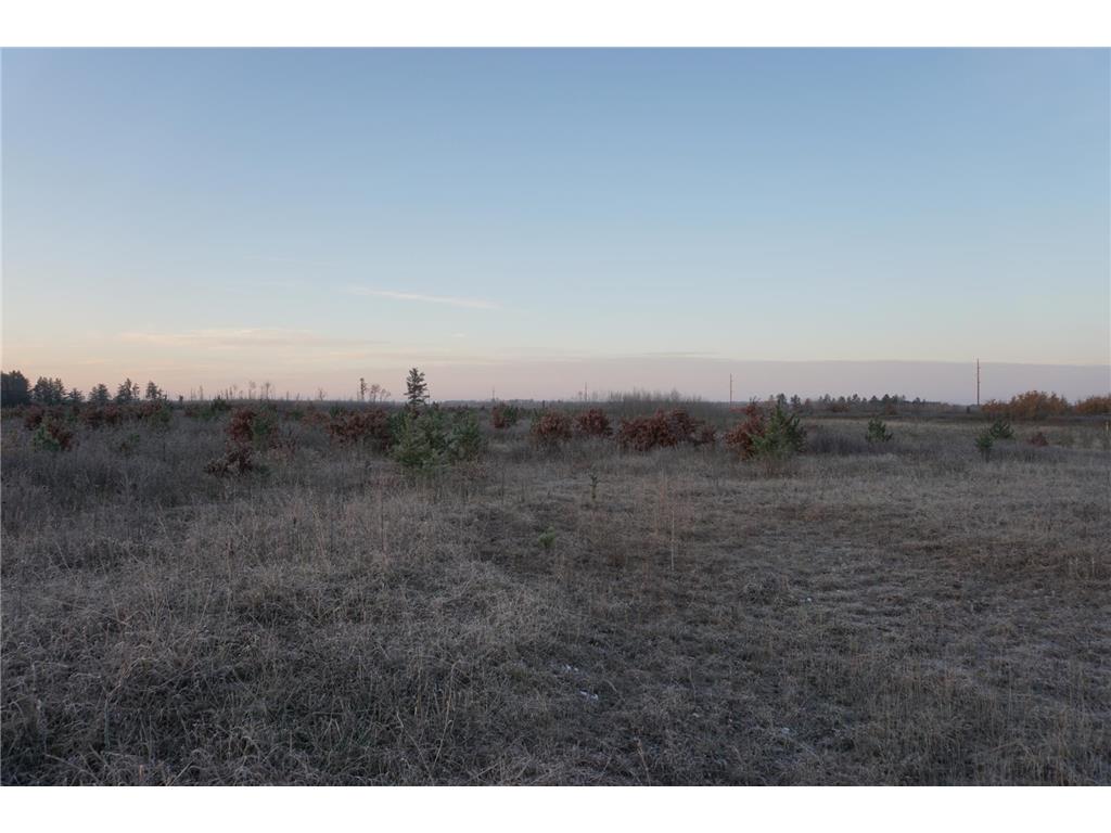 TBD 110th Street Straight River Twp MN 56464 6455953 image1