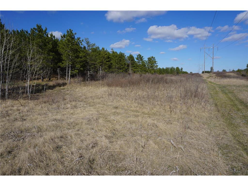 TBD 110th Street Straight River Twp MN 56464 6532979 image1