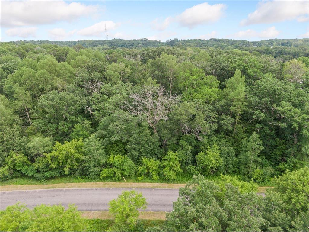 TBD 114th Avenue Livonia Twp MN 55398 7022825 image1
