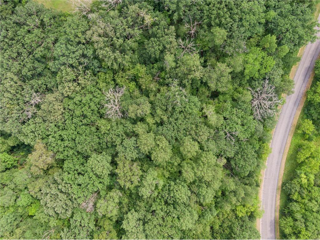 TBD 114th Avenue Livonia Twp MN 55398 7022825 image18