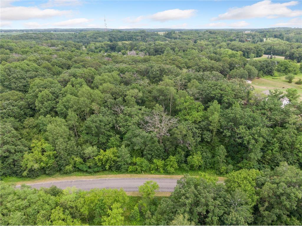 TBD 114th Avenue Livonia Twp MN 55398 7022825 image5