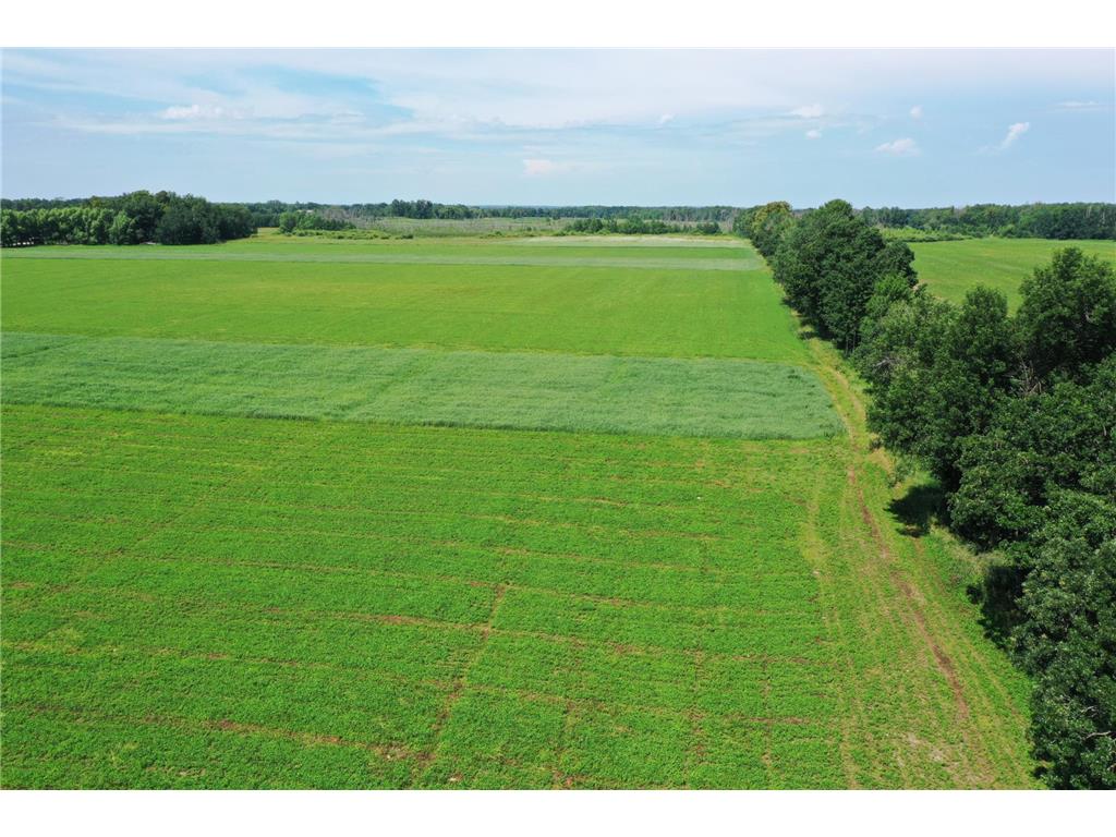 TBD 115th Avenue Eagle Bend MN 56446 6750994 image1