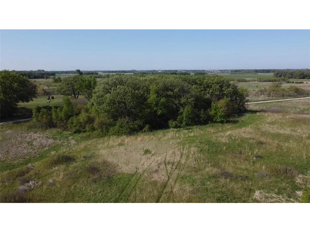 TBD 117th St Freeman Twp MN 56036 6451133 image1
