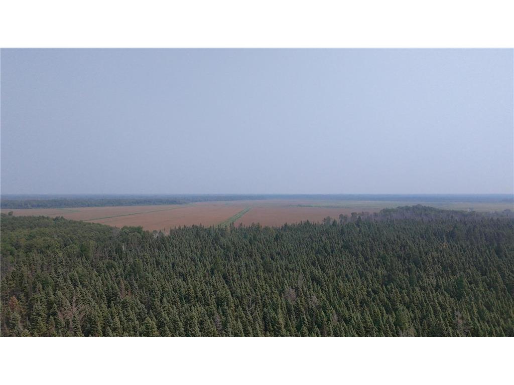 TBD 80 Acres Sunflower Road NE Woodrow Twp MN 56650 6766143 image11