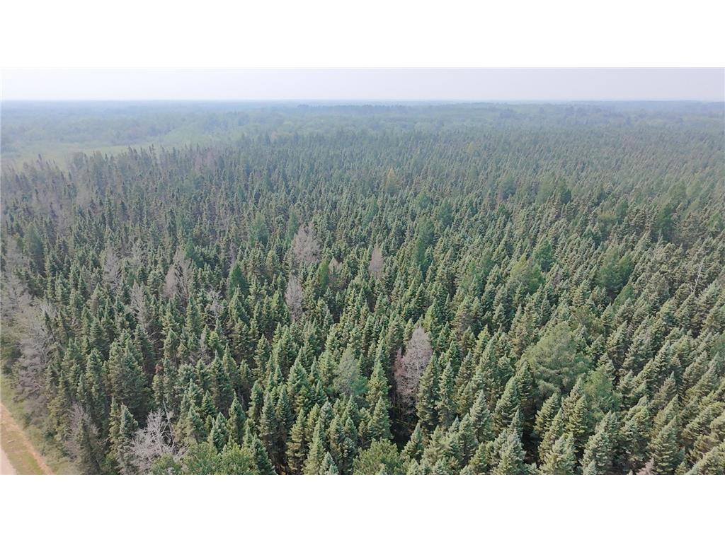 TBD 80 Acres Sunflower Road NE Woodrow Twp MN 56650 6766143 image17