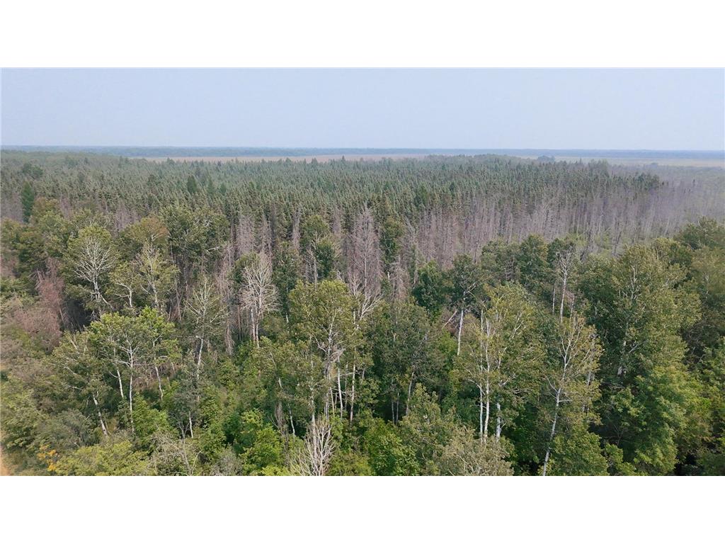 TBD 80 Acres Sunflower Road NE Woodrow Twp MN 56650 6766143 image20