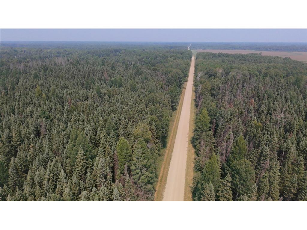 TBD 80 Acres Sunflower Road NE Woodrow Twp MN 56650 6766143 image23