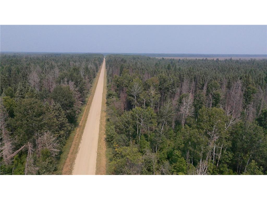 TBD 80 Acres Sunflower Road NE Woodrow Twp MN 56650 6766143 image26