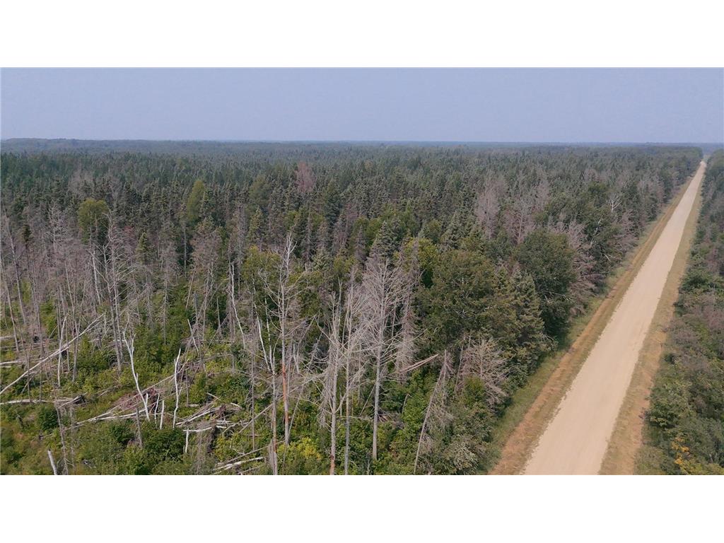 TBD 80 Acres Sunflower Road NE Woodrow Twp MN 56650 6766143 image28