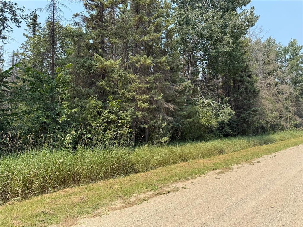 TBD 80 Acres Sunflower Road NE Woodrow Twp MN 56650 6766143 image35
