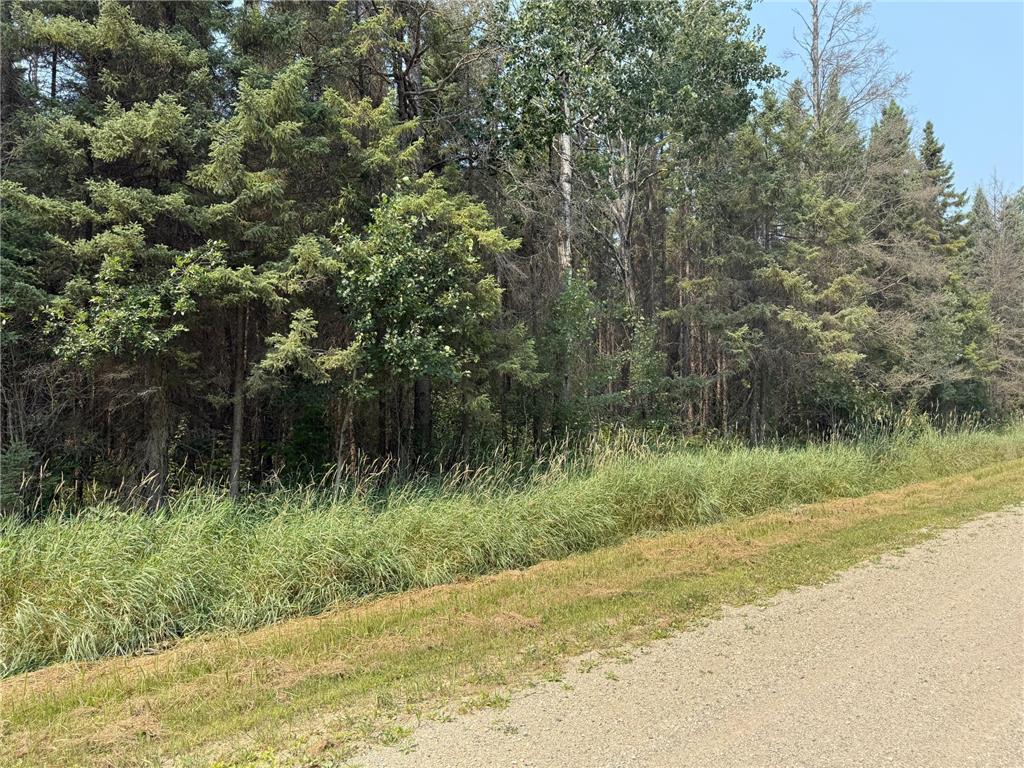 TBD 80 Acres Sunflower Road NE Woodrow Twp MN 56650 6766143 image38