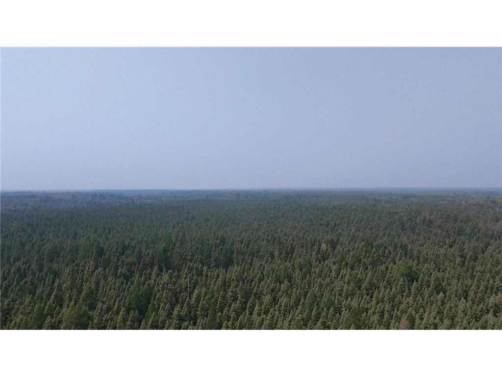 TBD 80 Acres Sunflower Road NE Woodrow Twp MN 56650 6766143 image9