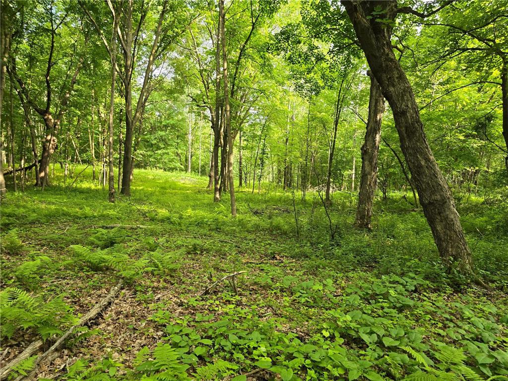 TBD 120th Avenue Balsam Lake Twp WI 54001 6750566 image1