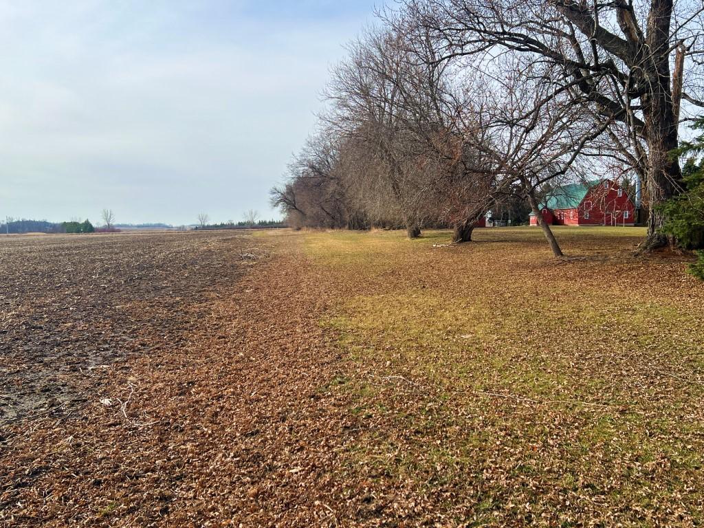 TBD 120th St SW West Bank Twp MN 56262 7044198 image25