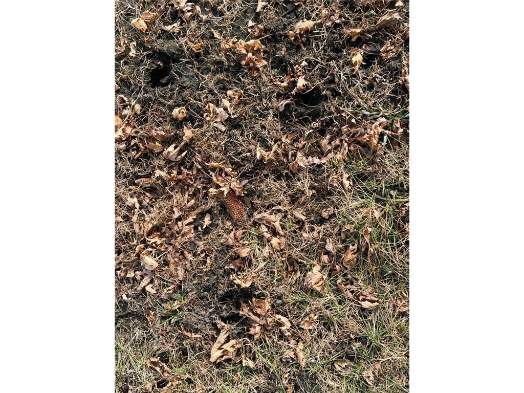 TBD 120th St SW West Bank Twp MN 56262 7044198 image26