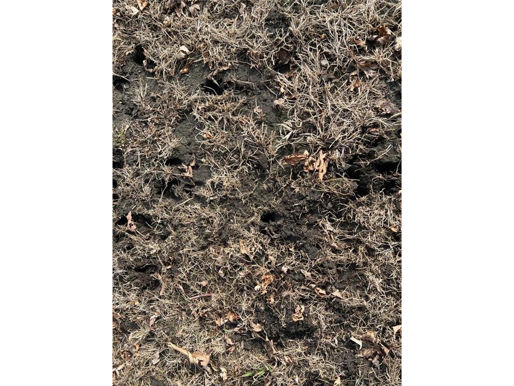 TBD 120th St SW West Bank Twp MN 56262 7044198 image27