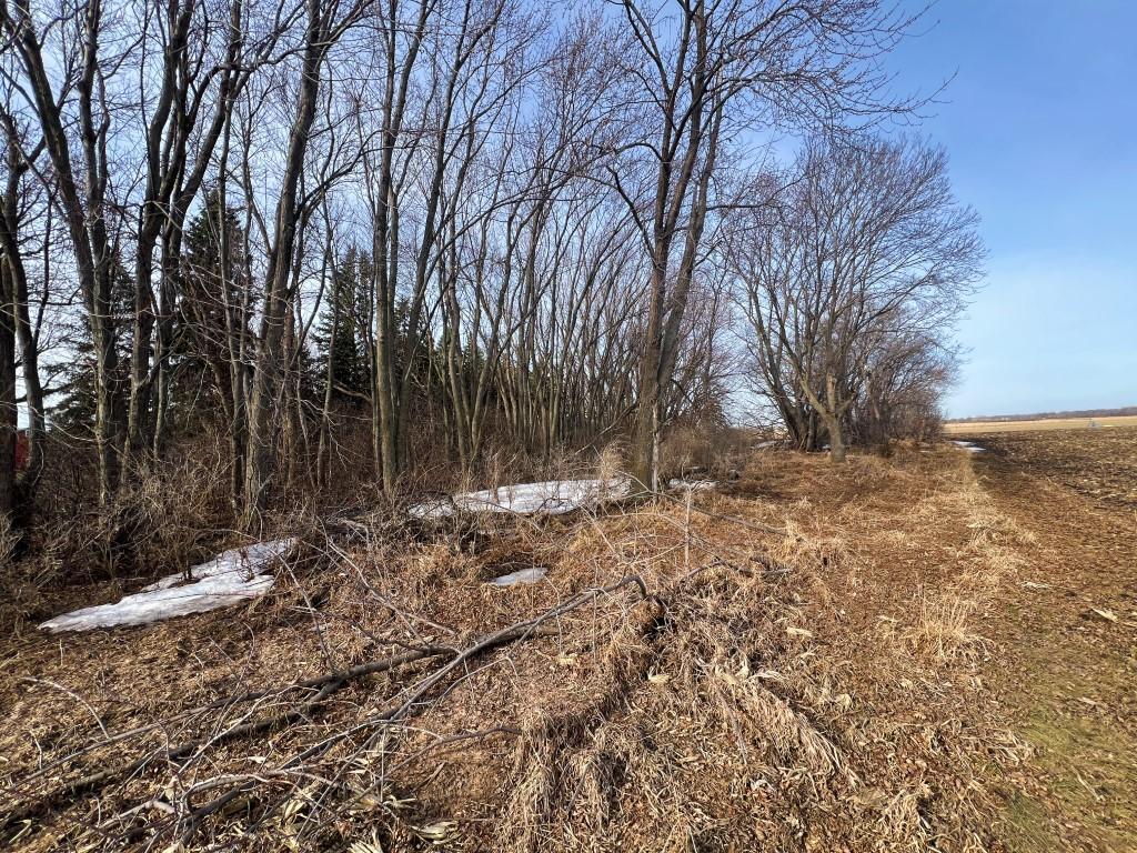 TBD 120th St SW West Bank Twp MN 56262 7044198 image28