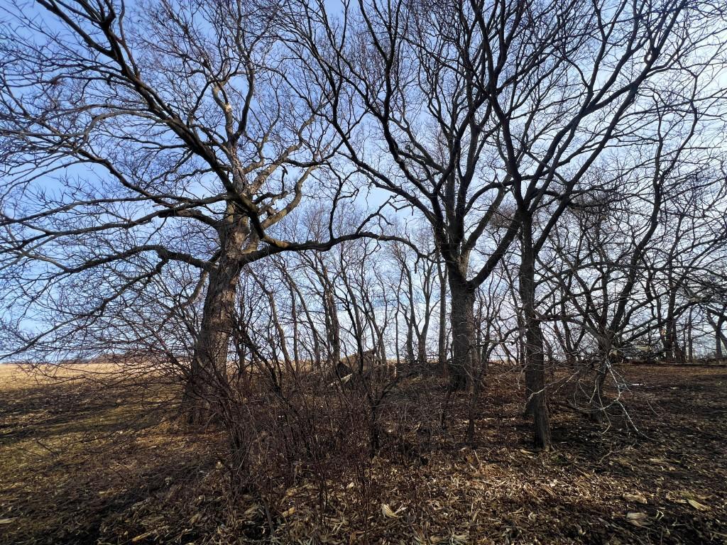 TBD 120th St SW West Bank Twp MN 56262 7044198 image30
