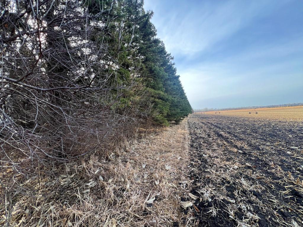 TBD 120th St SW West Bank Twp MN 56262 7044198 image31
