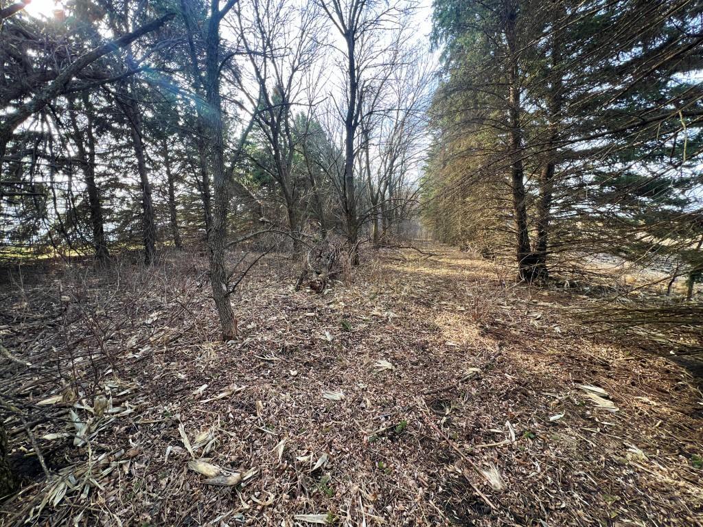 TBD 120th St SW West Bank Twp MN 56262 7044198 image32