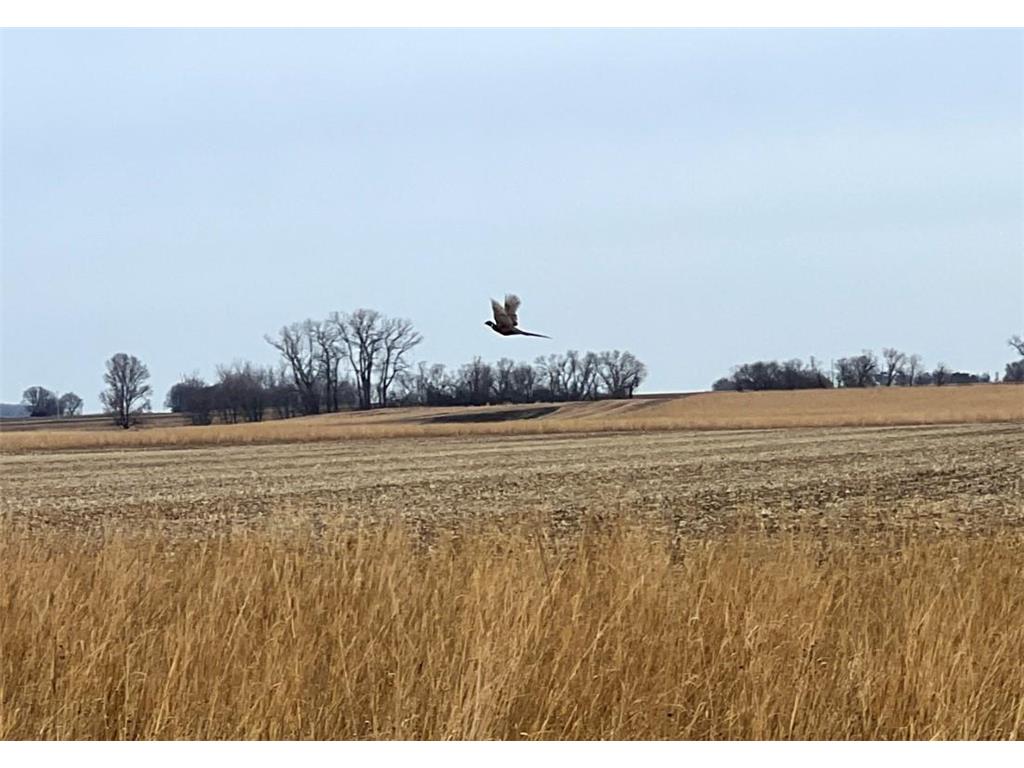 TBD 120th St SW West Bank Twp MN 56262 7044198 image36