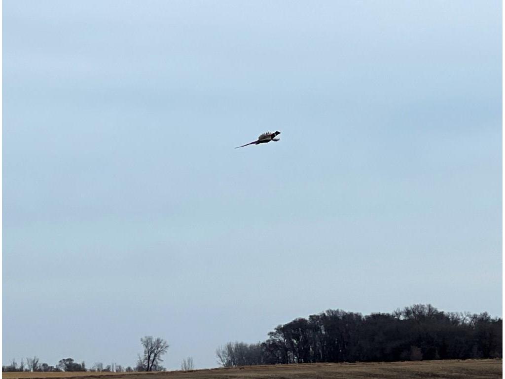 TBD 120th St SW West Bank Twp MN 56262 7044198 image37