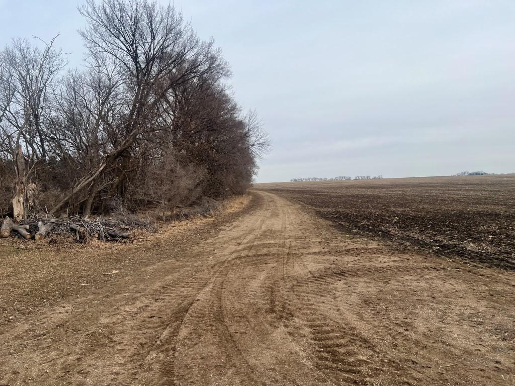 TBD 120th St SW West Bank Twp MN 56262 7044198 image8