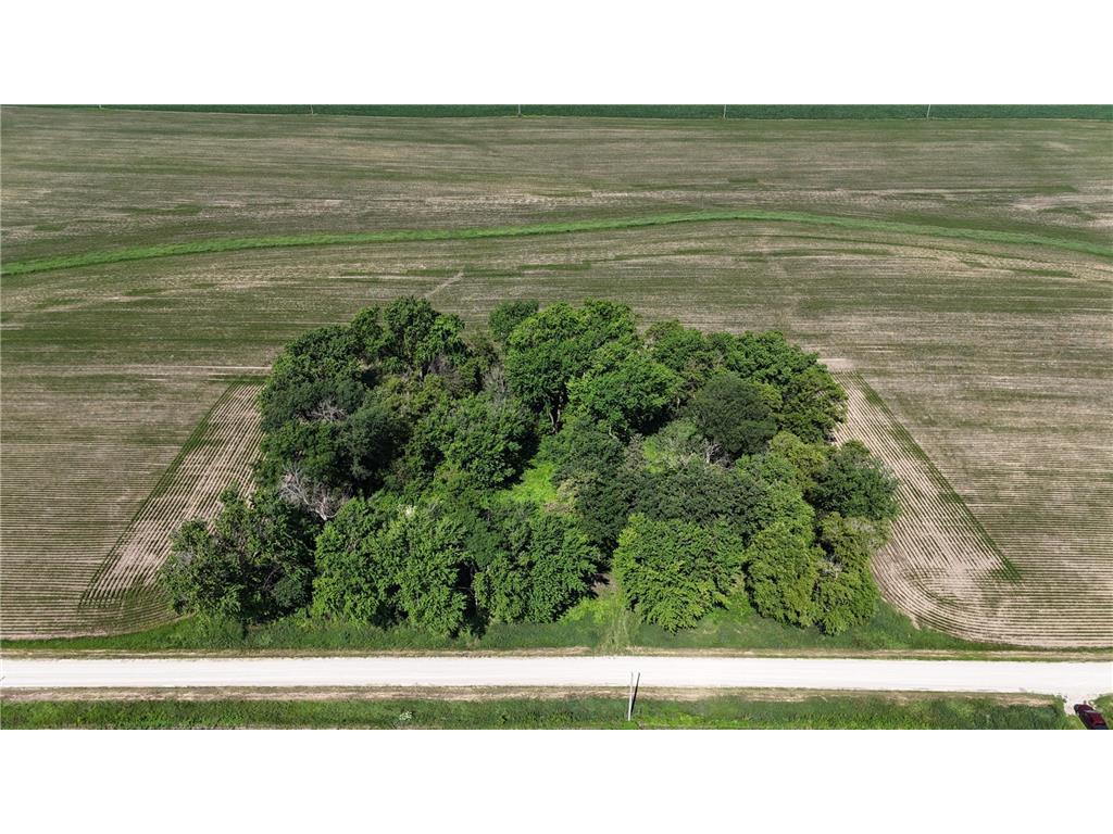 TBD 122nd Avenue NE Viola Twp MN 55934 6750591 image1