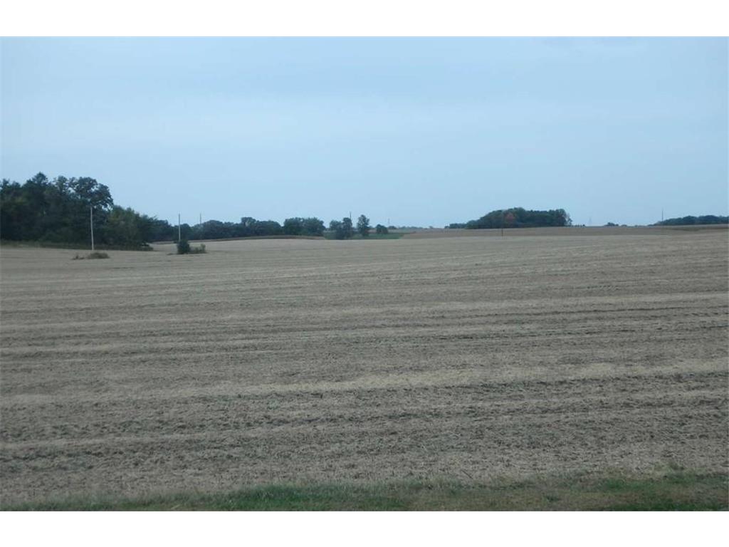 TBD 122nd Street Benton Twp MN 55368 6824557 image3