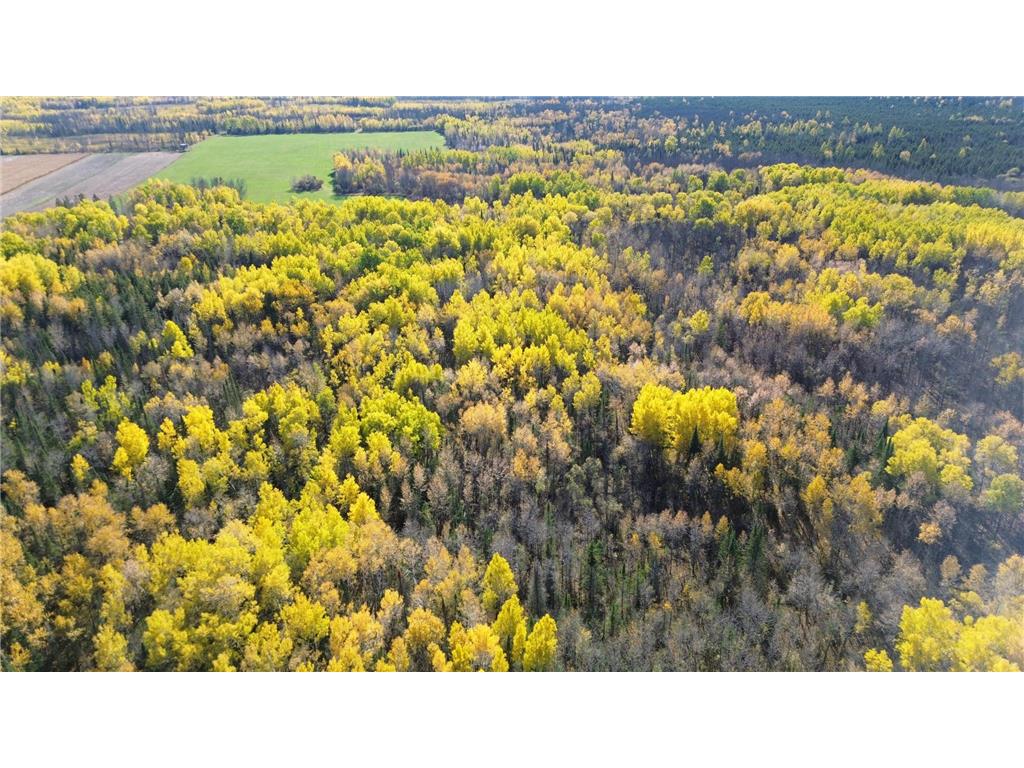 TBD 124th Street NE Deer River MN 56636 6455776 image1