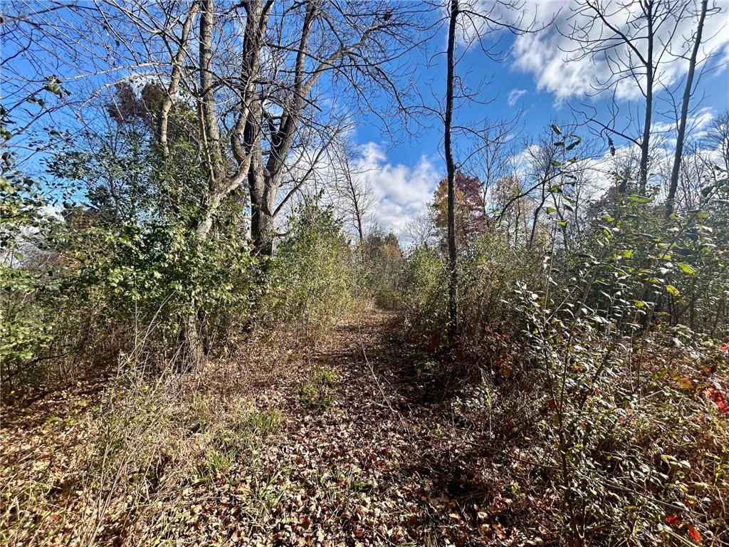 TBD 125th Street Alden Twp WI 54001 6812009 image11