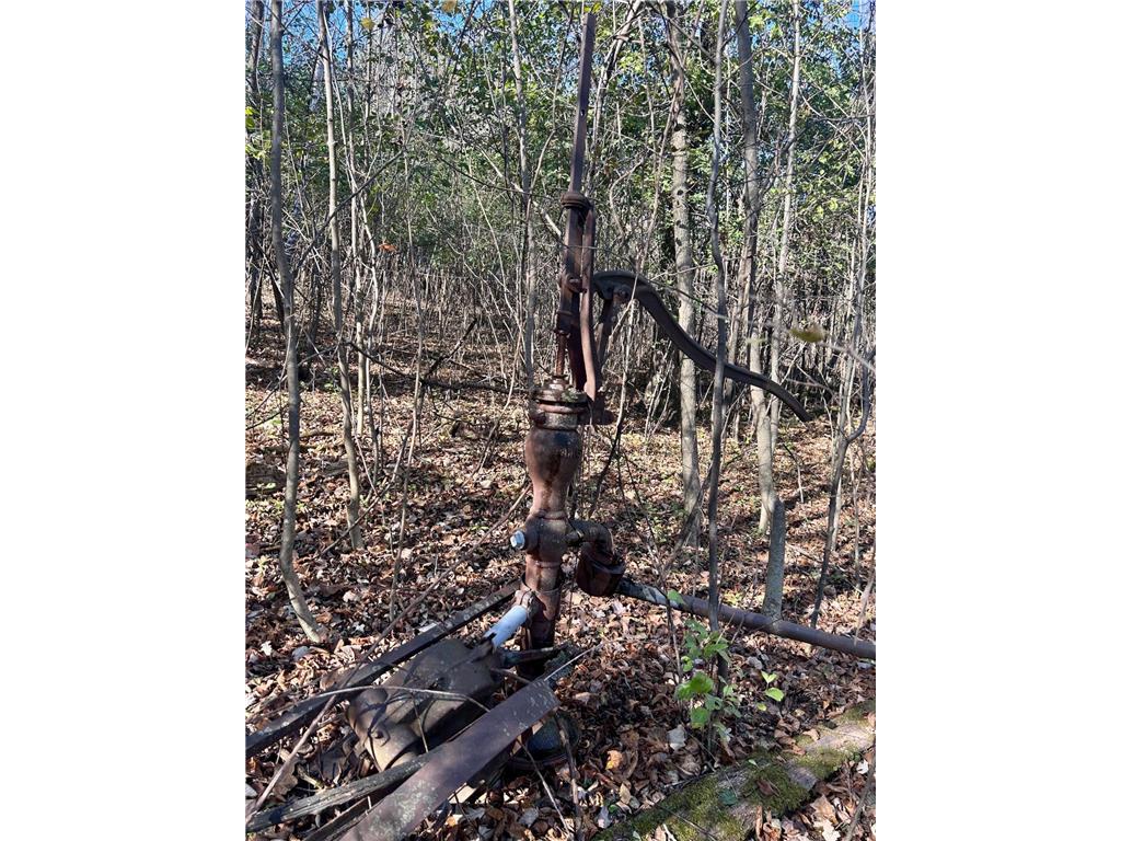 TBD 125th Street Alden Twp WI 54001 6812009 image4