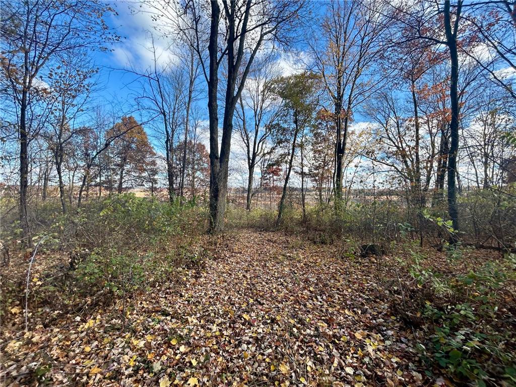 TBD 125th Street Alden Twp WI 54001 7070789 image12