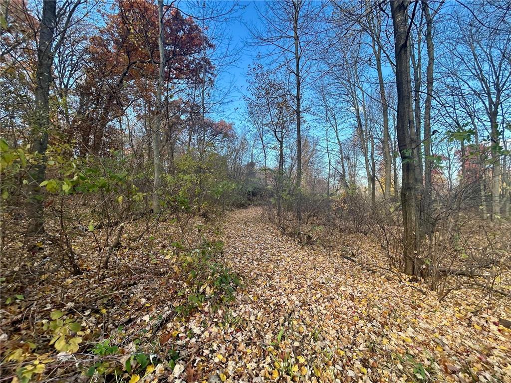 TBD 125th Street Alden Twp WI 54001 7070789 image13