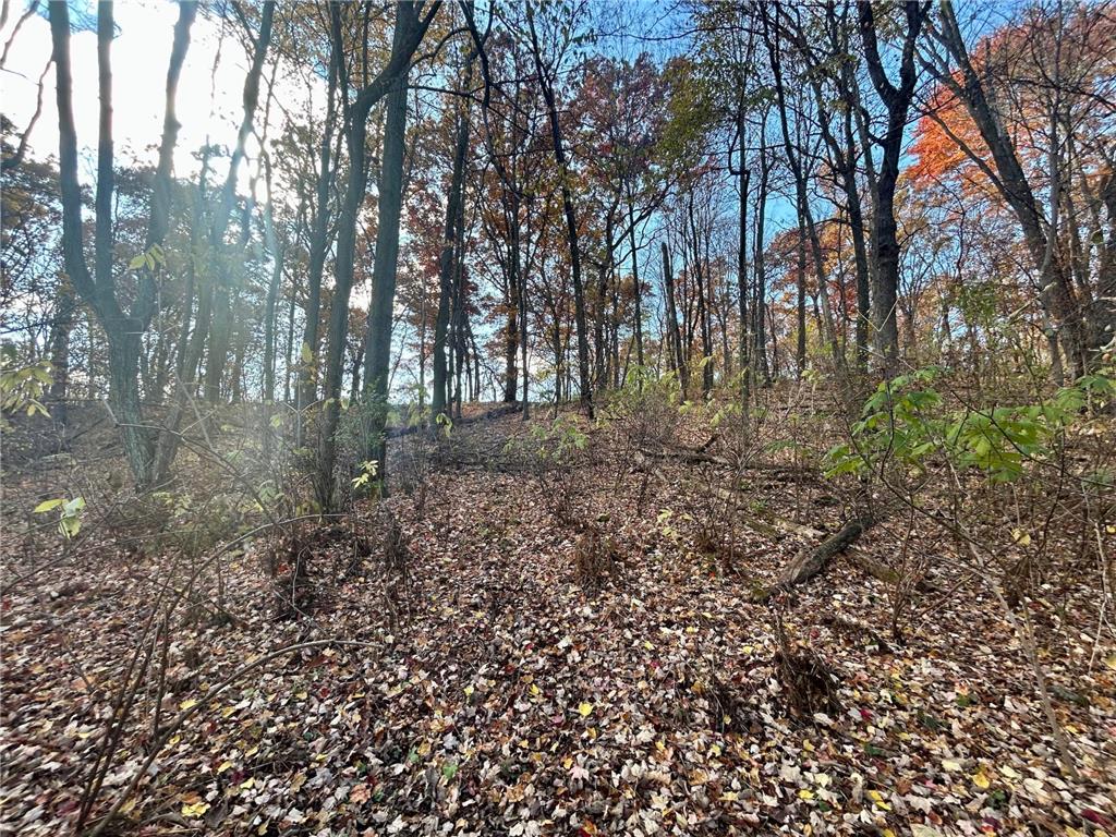 TBD 125th Street Alden Twp WI 54001 7070789 image14