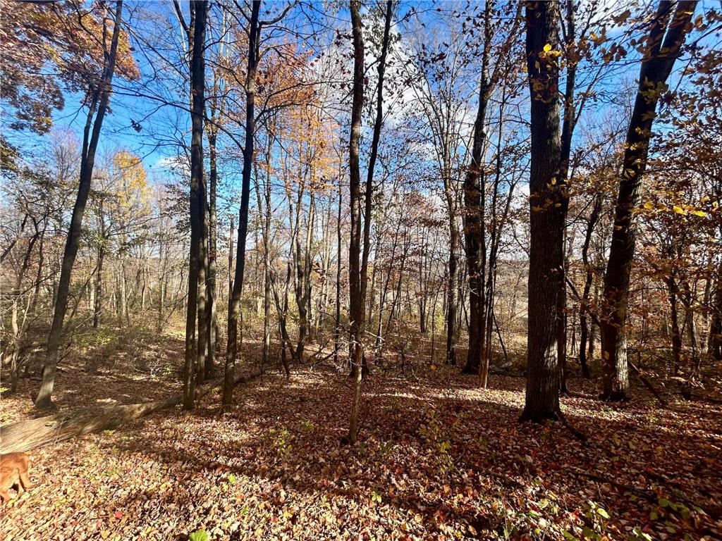 TBD 125th Street Alden Twp WI 54001 7070789 image15