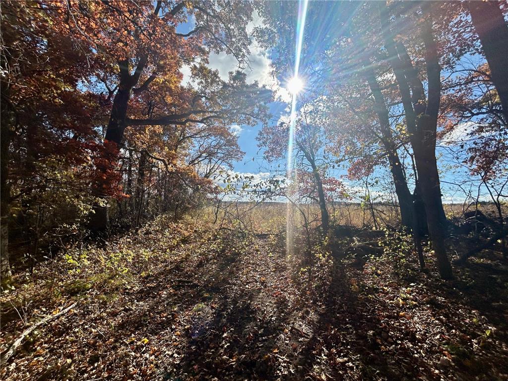 TBD 125th Street Alden Twp WI 54001 7070789 image16