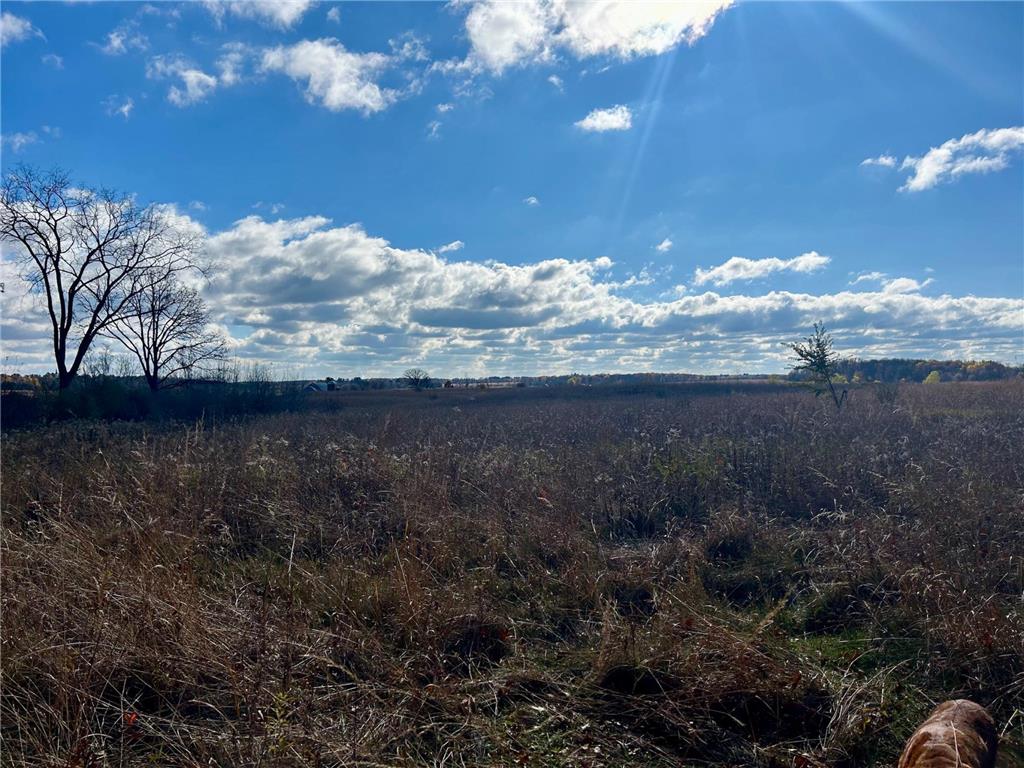TBD 125th Street Alden Twp WI 54001 7070789 image17