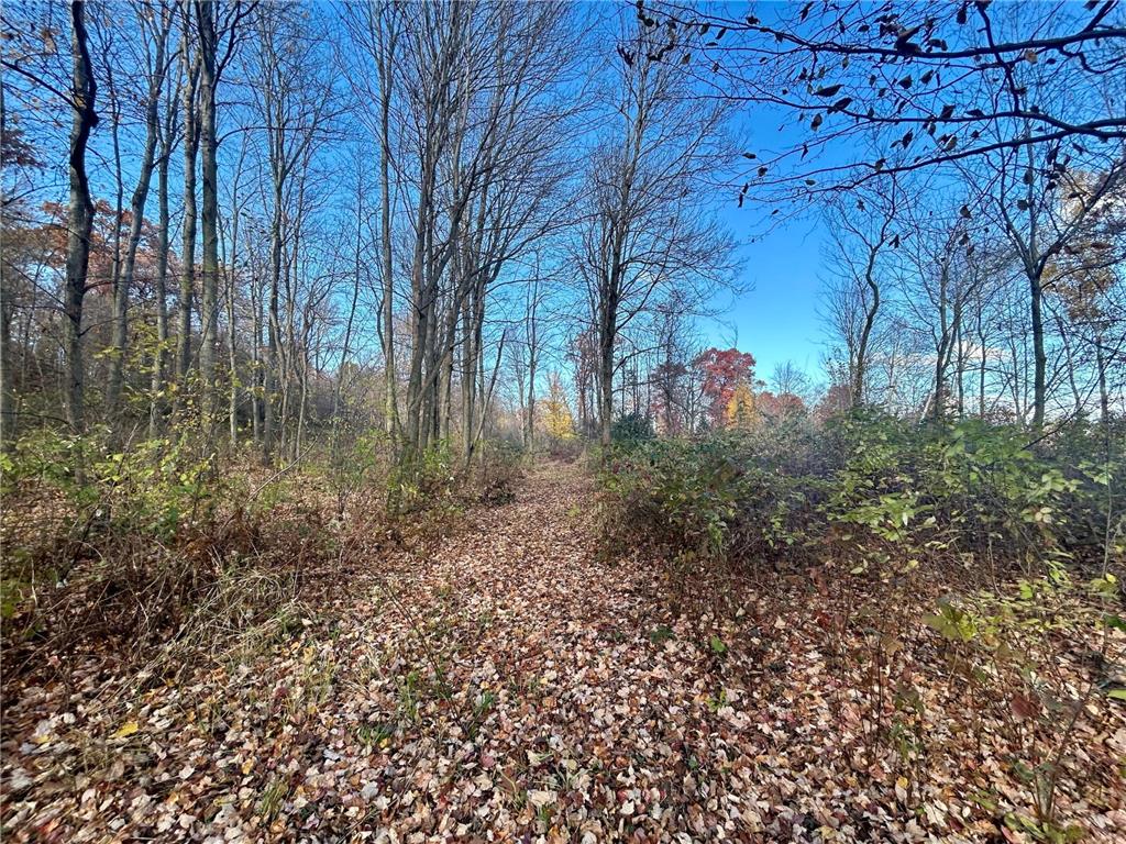 TBD 125th Street Alden Twp WI 54001 7070789 image18