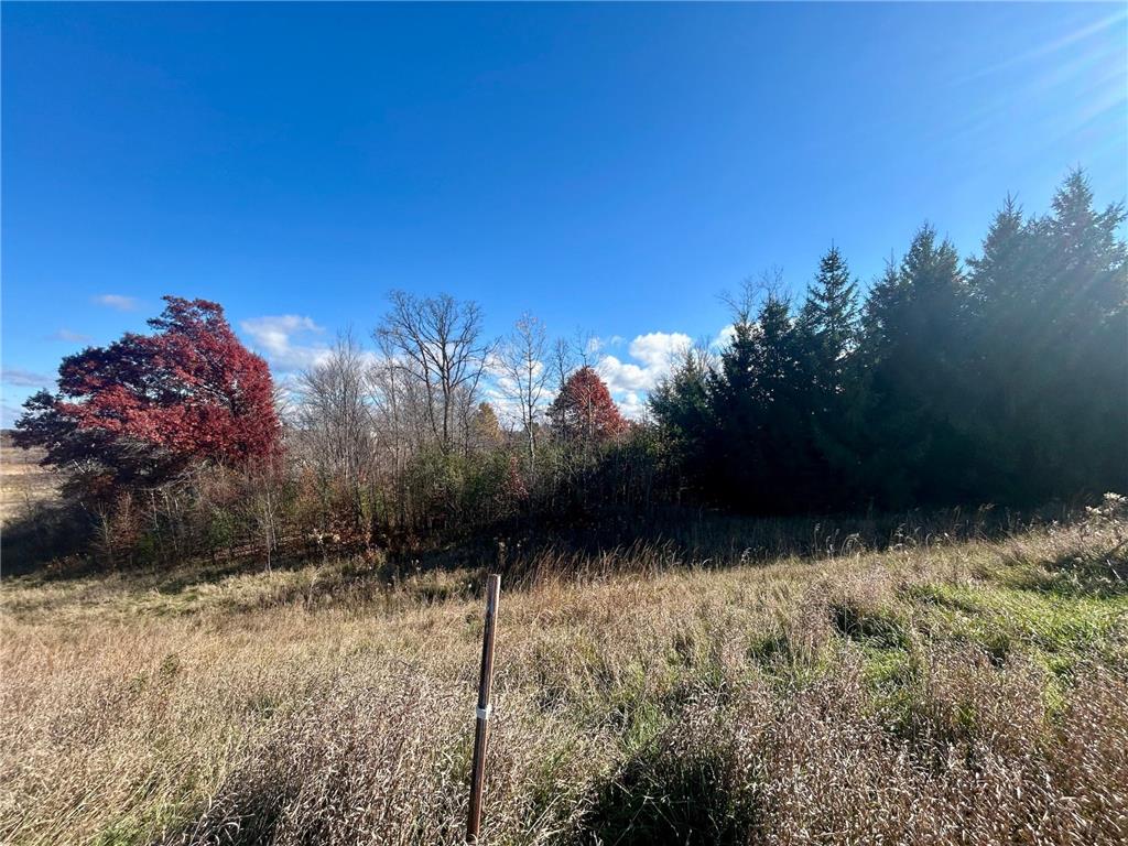 TBD 125th Street Alden Twp WI 54001 7070789 image2