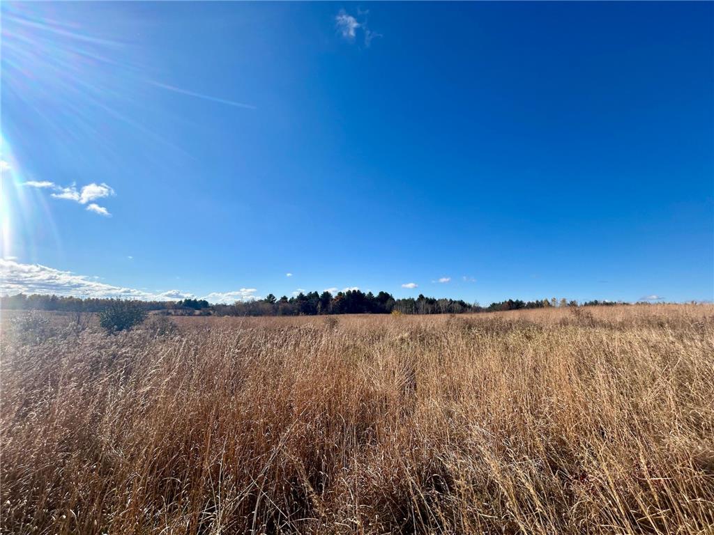 TBD 125th Street Alden Twp WI 54001 7070789 image20