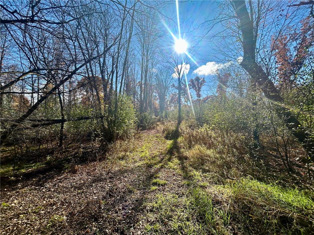 TBD 125th Street Alden Twp WI 54001 7070789 image21